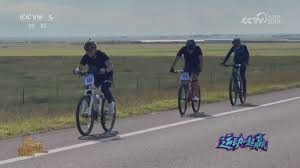 记者：总价860万英镑，伯恩茅斯报价匈牙利国脚托特被拒